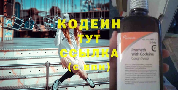 молекула духа Майский