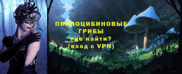 Альфа ПВП Магадан