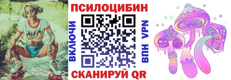 как найти закладки omg маркетплейс Псилоцибиновые грибы Psilocybe Мирный