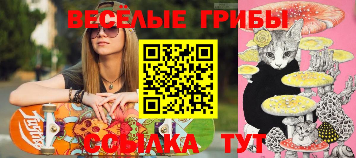 Галлюциногенные грибы прущие грибы  Вход с VPN  закладки  Галлюциногенные грибы прущие грибы  Мирный 