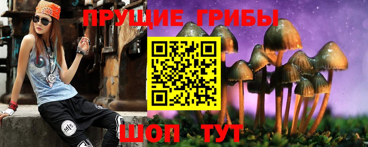 Галлюциногенные грибы GOLDEN TEACHER Мирный